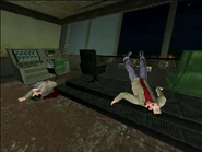 Operation Arctic Flare success