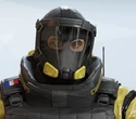 Lion Default Headgear