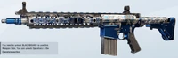 Masked SR25 Skin