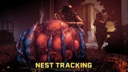 Nest Tracking
