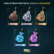 Maelstrom Protocol Cycle 1 Charms
