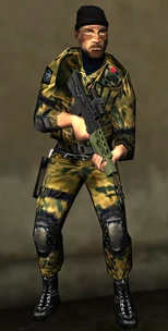 RS3 Woodland Urban Price