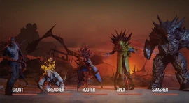 Outbreak Roaches type