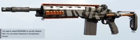 Fearless Mk14 Skin