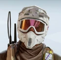 Mozzie White Birch Headgear