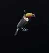 Toucan Charm