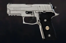 P229