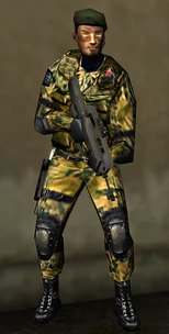 RS3 Woodland Urban Loiselle