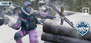 Snow Brawl, Rainbow Six Wiki