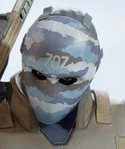Vigil Shifting Tides Headgear
