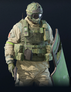 Fuze armed with Ballistic Shield