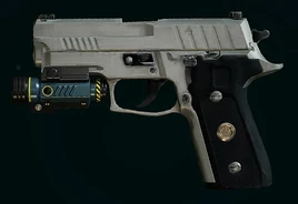 R6E P229