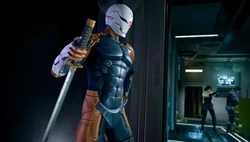 Jackal as Gray Fox