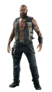 Axle 13 Elite skin (full transparent)