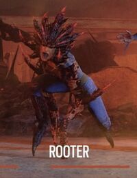 Outbreak Rooter