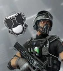 Lesion Byte Set
