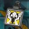 Valkyrie's Icon Charm