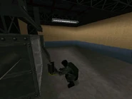 Operation Wild Arrow success