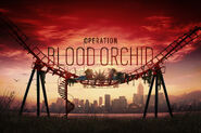 BloodOrchid