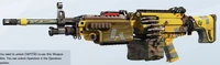 Mayhem M249 Skin