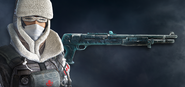 Frost in the Frost Bundle