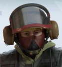 Bandit Flycatcher Headgear