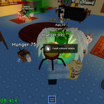 I Duped The Time Cube in Raise A Floppa Roblox and THIS HAPPENED