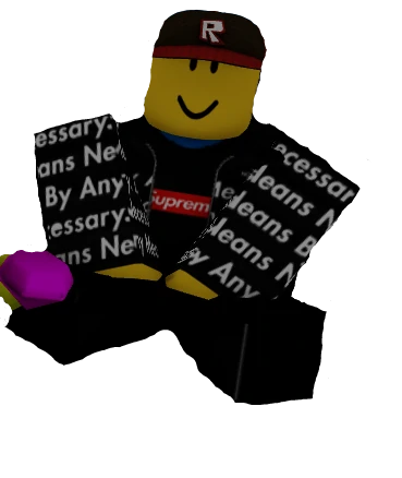 ROBLOX RAISE A NOOB 