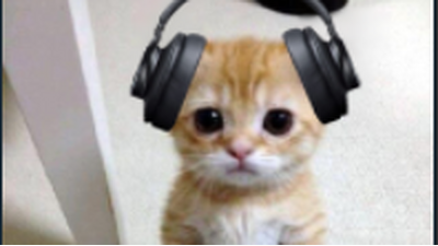 DJ El Gato Soundtrack in Raise A Floppa 2 