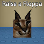 funny eared cat in backroom : r/Floppa