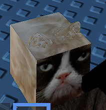 Grumpy Cat, The Raise a Floppa Wiki