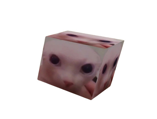 Floppa cube - Roblox