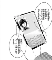 Ikki's handbook