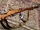 Mosin-Nagant