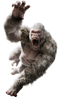 THE RAMPAGE - ぴろしき _57.PNG?set_id=880000500F