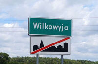 Wilkowyja