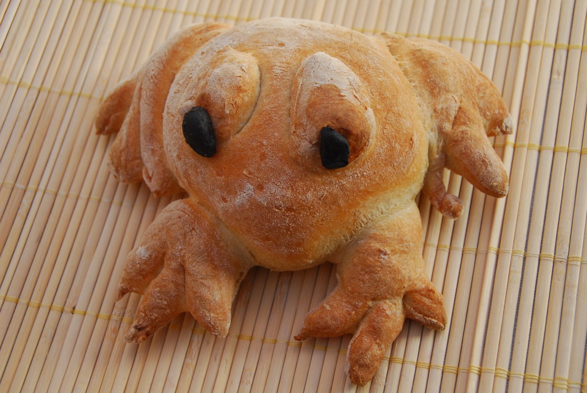 Хлебная лягушка