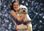 Ashleigh-and-pudsey-britains-got-talent
