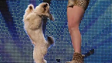Ashleigh_and_Pudsey_-_Britain's_Got_Talent_2012_audition_-_UK_version