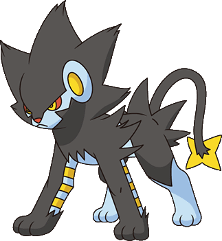 Star Tail Adamant Random Pokemon Wikia Fandom