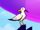 Steven Seagull