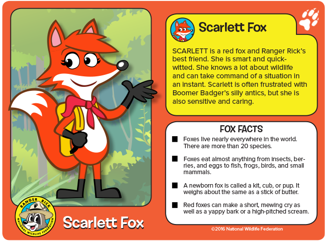 Scarlett Fox | Ranger Rick Wiki | Fandom