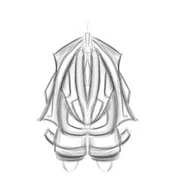 Klig Sketch.jpg (10 КБ) Ранний набросок дизайна Клига