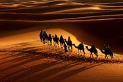 Caravan-in-the-Desert-010