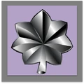 Silver Oakleaf Medal