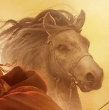 Tug, Will's Ranger horse