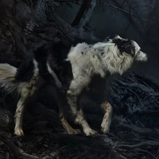 Jerome kidnapped Ebony, Will's Dog