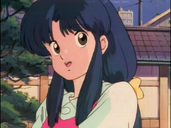 Akane Tendo Ranma Nikholo