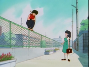 Ranma Saotome Akane Tendo Nerima