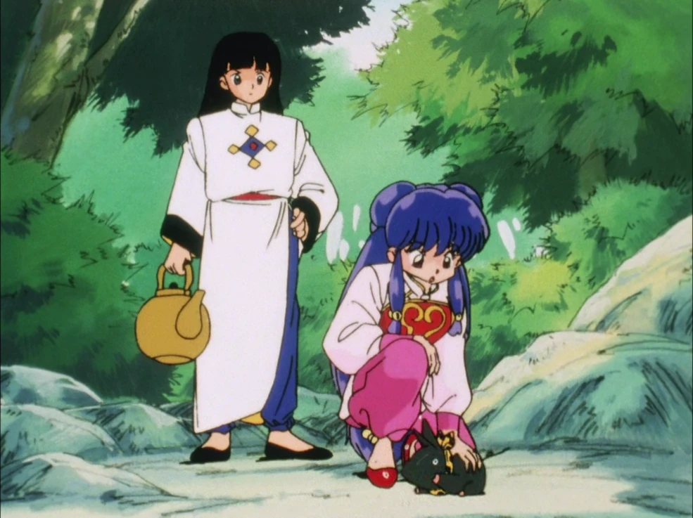 Maglietta Donna Ranma 1/2 Shampoo Anime Lover - Rosa Taglia L - 4